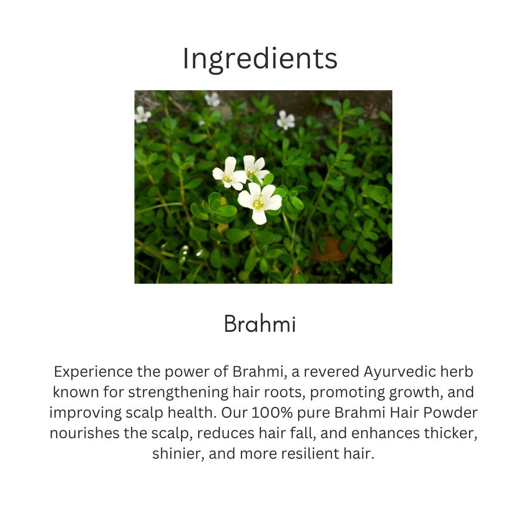 Utkrisht Khadi Brahmi Hair Powder for Hair Growth, Strong Roots & Scalp Nourishment | 100% Pure Ayurvedic Herbal-100gm - Image 3